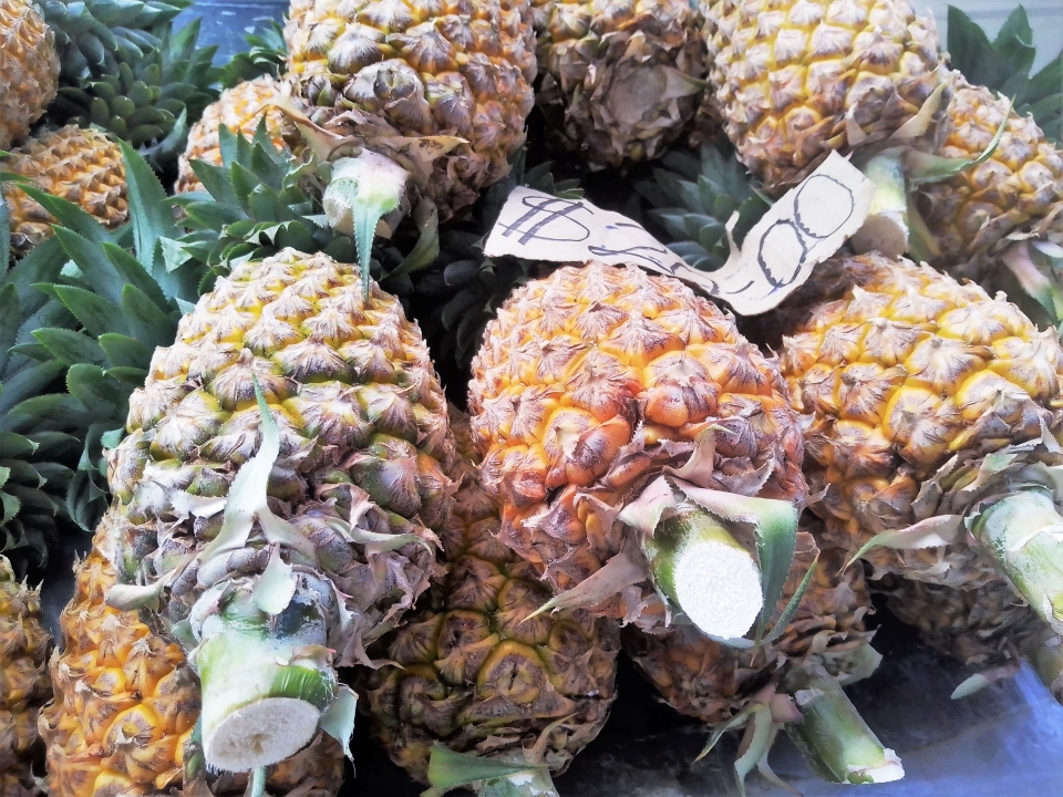 Qwaina Calls for the Commercialization of Pineapple Production