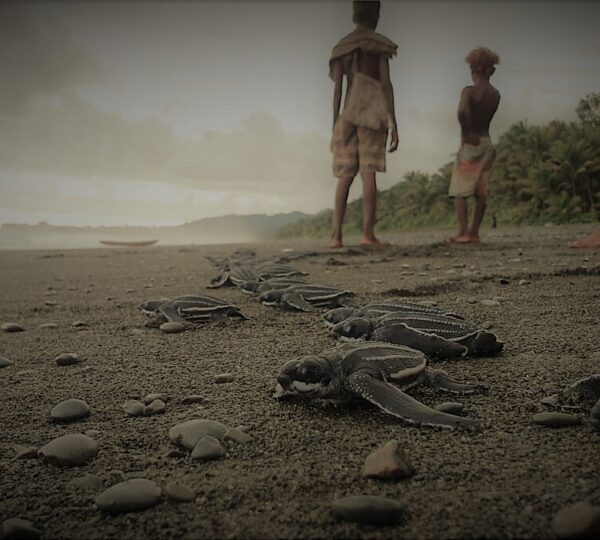 Conservation International Supports Turtle Conservation Efforts in Visunauru