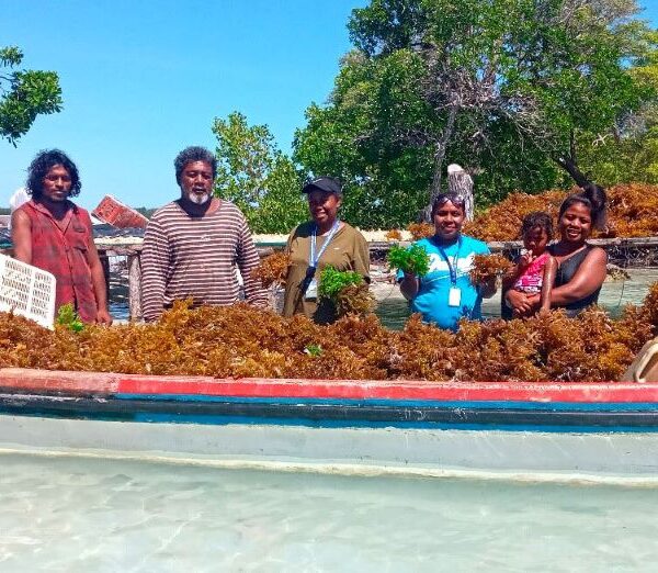 Fisheries Ministry Boosts Seaweed, Tilapia, and Sea Cucumber Farming