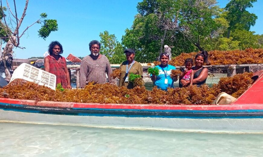 Fisheries Ministry Boosts Seaweed, Tilapia, and Sea Cucumber Farming