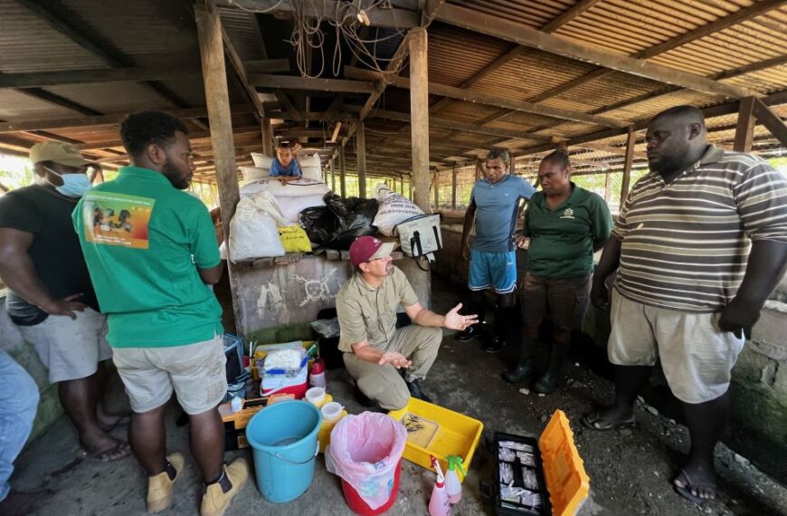 Australian Veterinarians Strengthen Animal Health Capacity in Solomon Islands