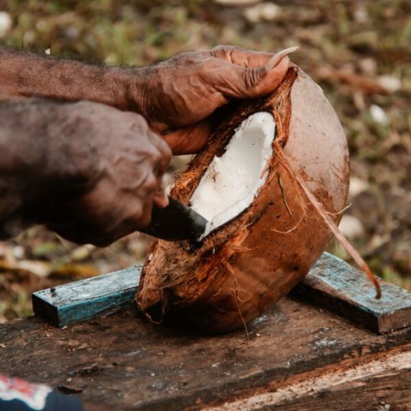 Solomon Islands Copra Industry Boosts Economy with Record $100 Million Contribution