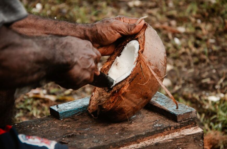 Solomon Islands Copra Industry Boosts Economy with Record $100 Million Contribution