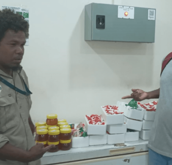 BSI Penalises Illegal Honey Importer with SBD $25,000 Fine