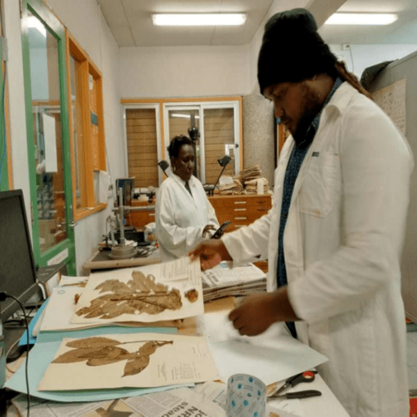 Our Dried Specimens Are Back