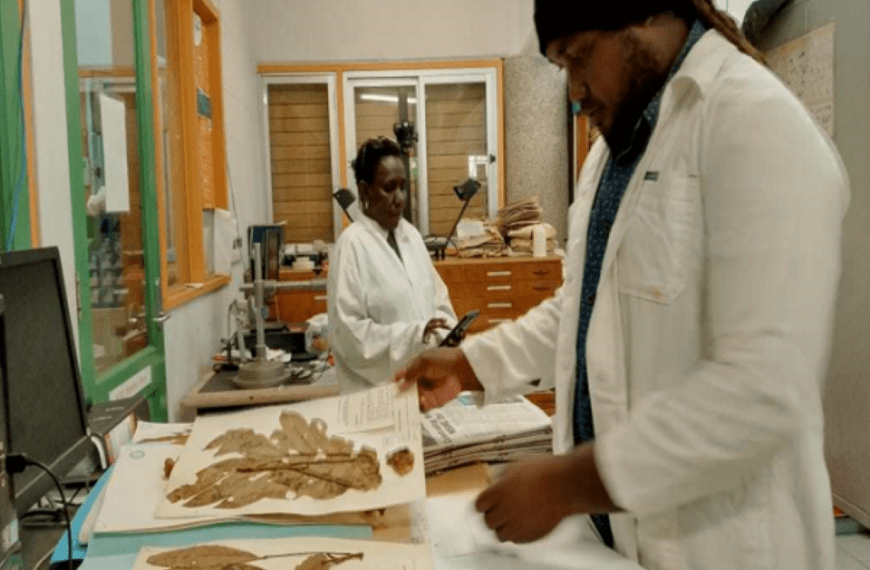 Our Dried Specimens Are Back