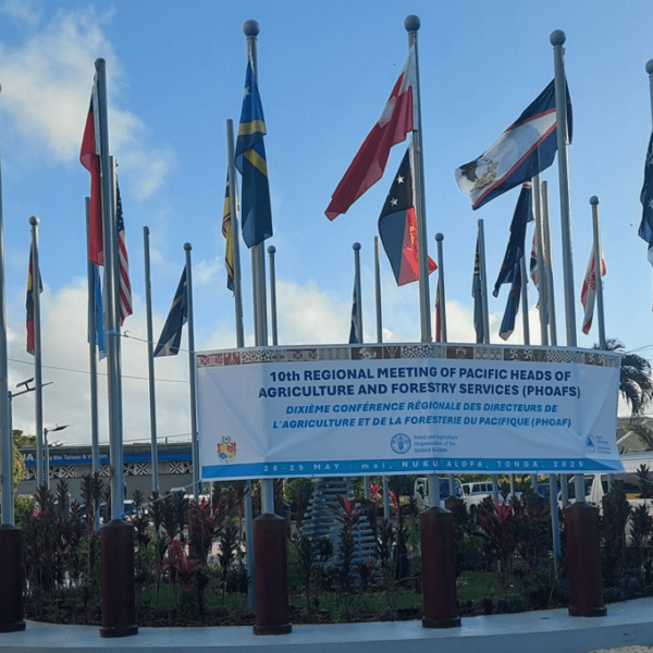 Pacific Regional Premium Event for Agriculture and Forestry Coming to Solomon Islands in 2027
