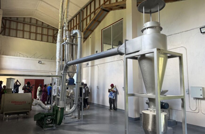 Multi-Million-Dollar Pack-House: The Inspiring Journey of Sape Farm