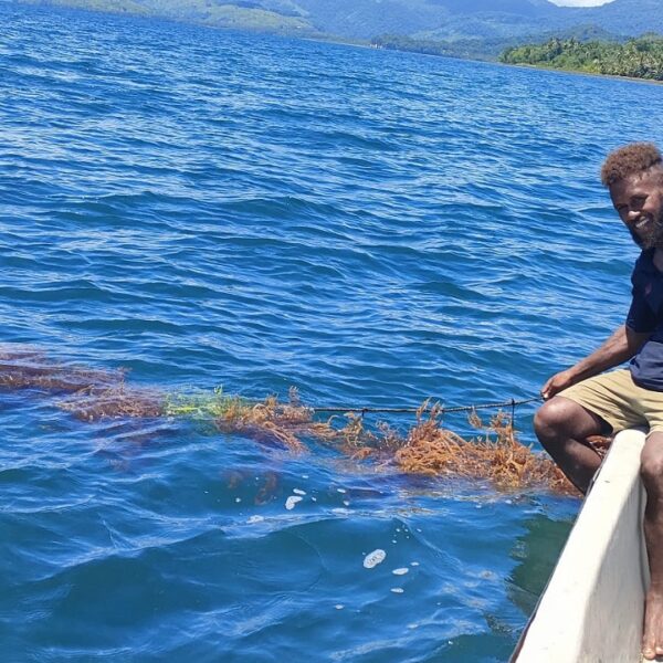 First-Time Seaweed Farmer Sees Hope in New Venture