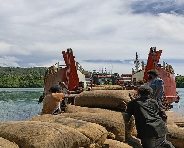 Ulawa Farmers Struggle to Transport Copra and Cocoa Amid Poor Infrastructure