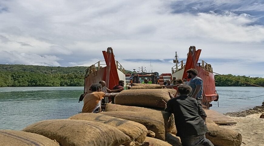 Ulawa Farmers Struggle to Transport Copra and Cocoa Amid Poor Infrastructure