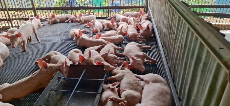 20251216_124919(0) (1)