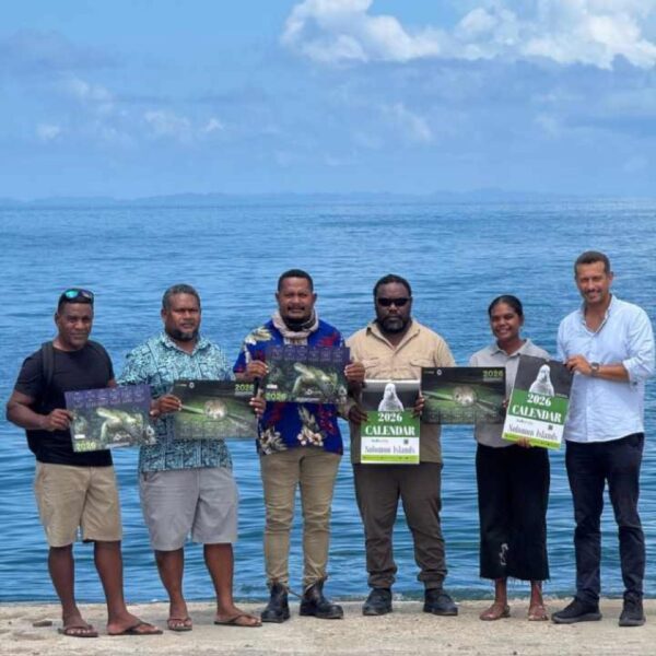 New 2026 Calendar Celebrates Solomon Islands’ Unique Wildlife