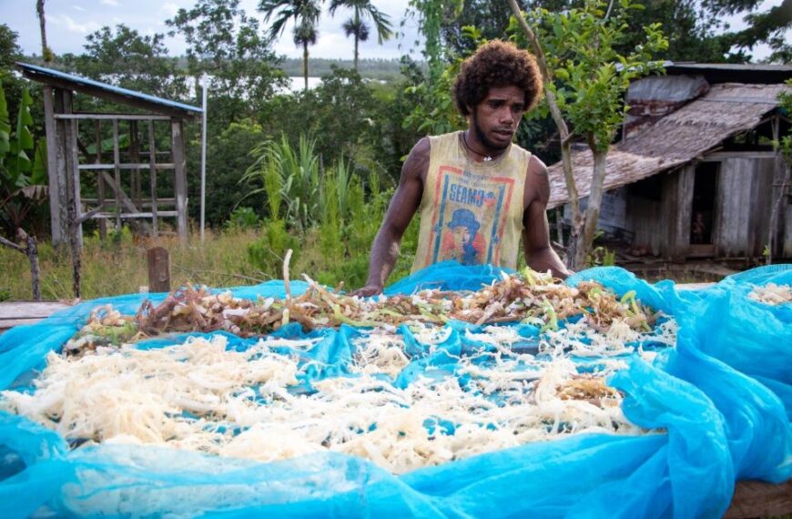 RSDP invests $1.5M into West Are’are Constituency Seaweed Farming Initiative to Boost Production   
