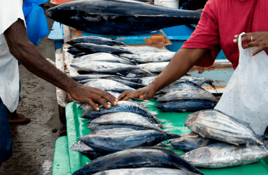 HCC Clarifies Sale of Salt Fish at Markets