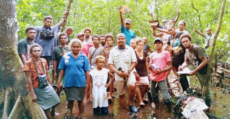 Mangrove Ecosystem Conservation, a Way Forward for South Malaita Tribal ...